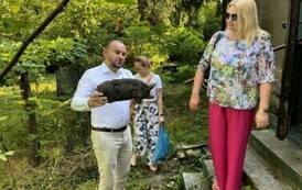 Proponowana nowa siedziba PTTK Sochaczew (11.07.24) 4