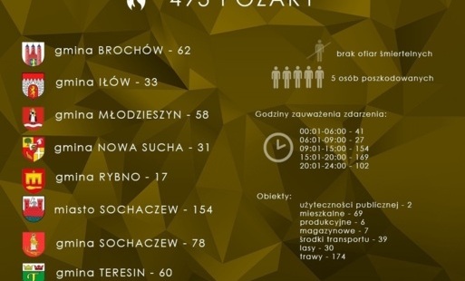 Zdjęcie do Rok w strażackiej statystyce